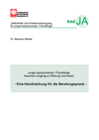 Junge Asylsuchende/Flüchtlinge brauchen Zugang zu Bildung und Arbeit - Eine Handreichung für die Beratungspraxis