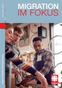 Download Migration im Fokus: Arbeitsmarktintegration (Nov. 2020)